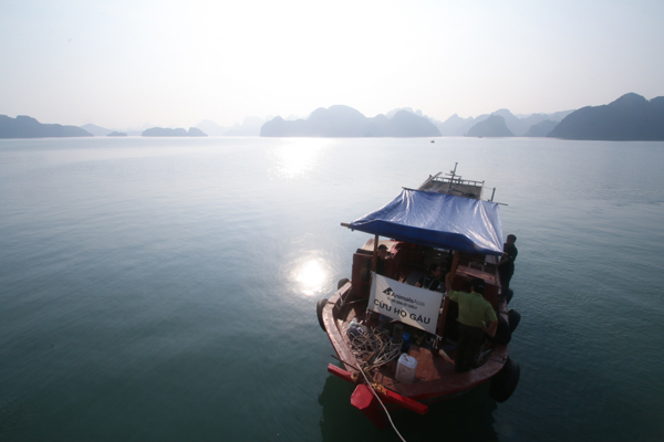 Cứu[-]hộ[-]thành[-]công[-]hai[-]cá[-]thể[-]gấu[-]ngựa[-]từ[-]Đảo[-]Ba[-]Mùn,[-]Quảng[-]Ninh